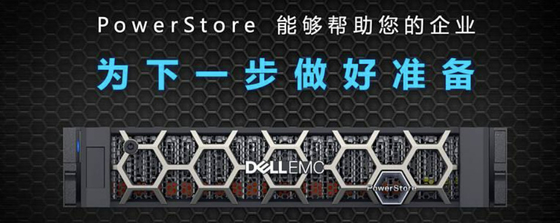EMC Powerstore 1000T 8*16GB FC Depolama Çözümü 3PIC